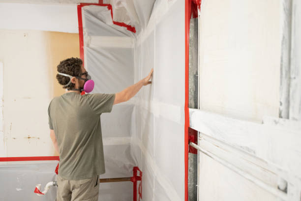 Best Mold Removal for HVAC Installations  in Monticello, IN