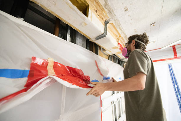 Best Mold Odor Removal Services  in Monticello, IN